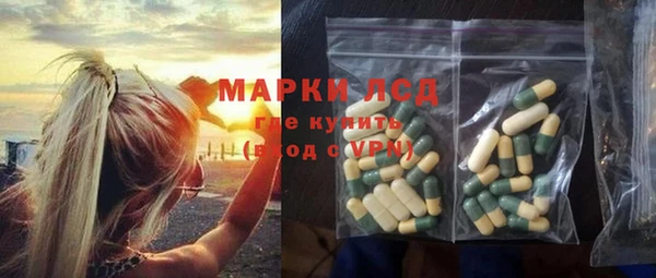 прущие грибы Армянск