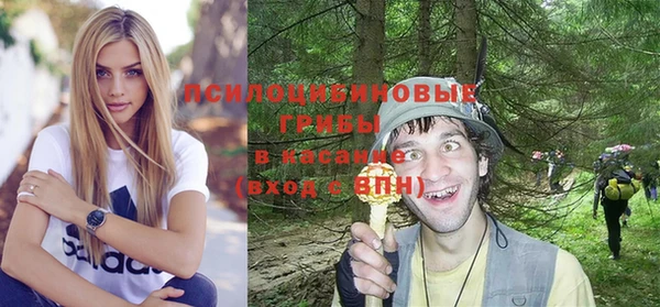 прущие грибы Армянск