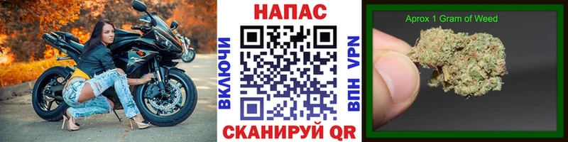 МАРИХУАНА ГИДРОПОН  Собинка 